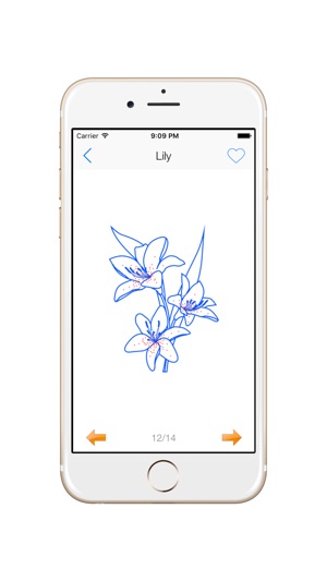 How To Draw Flowers - Beautiful Flowers(圖5)-速報App