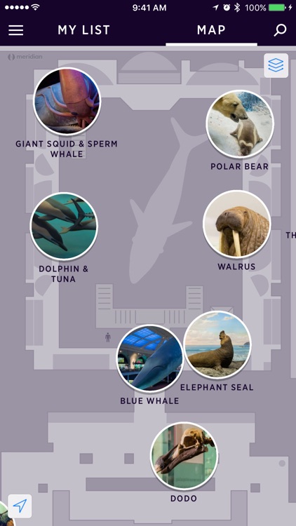 Explorer - AMNH NYC