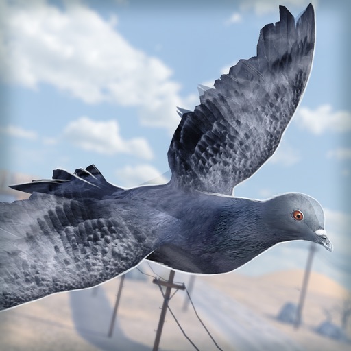 Bird Survival | Wing Sky Fly Tiny Simulator Game For Pros icon