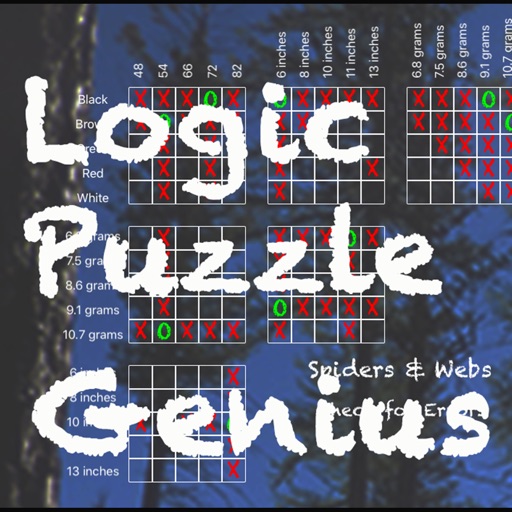 Logic Puzzle Genius icon