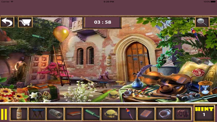 Princess Bride Hidden Object