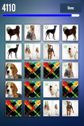 Cats and Dogs Match screenshot 3