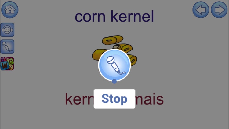 English Picture Dictionary for Italian Speakers