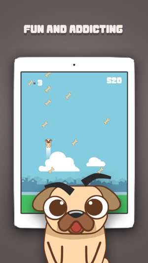 Fly Pug Fly(圖1)-速報App