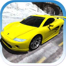 Activities of Sports Cars Racing Winter PRO