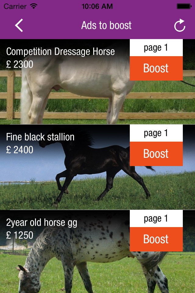 Horsemart.co.uk - Ad Manager screenshot 2