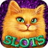 Glamour Puss Casino Slots: Lucky Mega Win 777 Slot