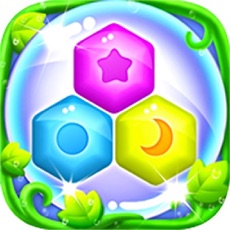 Activities of Hex Crush Block Fit Puzzle