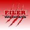 Filer High School fund raising app