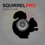Get REAL Squirrel Calls and Squirrel Sounds for Squirrel Hunting! - (ad free) BLUETOOTH COMPATIBLE for iOS, iPhone, iPad Aso Report