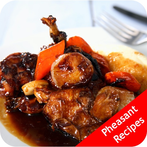 Pheasant Recipes - Braising Venison icon