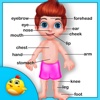 Learning Human Body Part - 2
