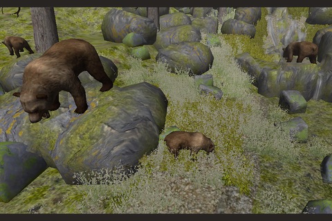 Wild Bear Sniper Hunter 2016 screenshot 2