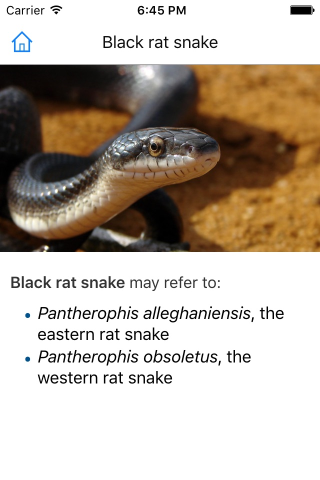 CHI Encyclopedia of Snakes screenshot 4
