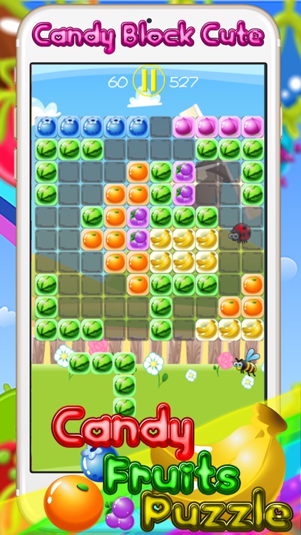 Candy Fruits Mania - A Cute And Addictive  Block Puzzle Game for kids