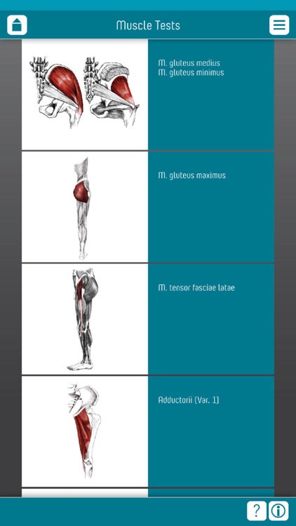 Muscle Test part 3