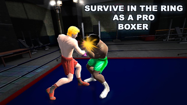 Real Punch Box Fighting 3D(圖1)-速報App