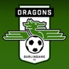 Dragons Supporters