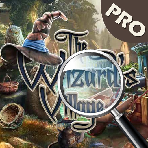 The Wizard Village Mystery