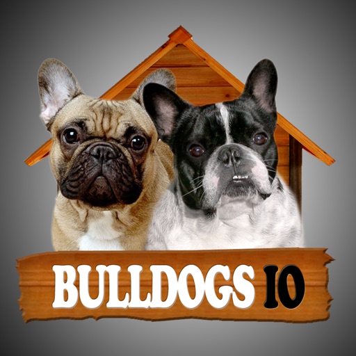 Bulldogs IO Icon