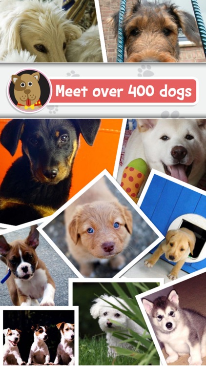 Breeds: The Dog Name Game - the Favorite ‘Guess the Word’ game of Dog Lovers