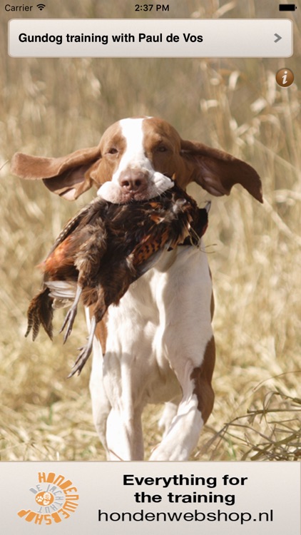 Gundog training