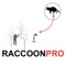 Are you a raccoon hunter who loves to hunt for raccoons