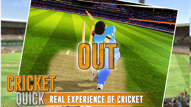 Quick Cricket 3D