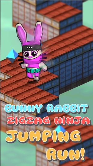 Bunny Rabbit Ninja Jumping Run 3D - Endless animal run(圖1)-速報App