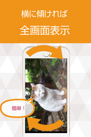 ねこ猫動画 - 猫の最新動画まとめ for YOUTUBE screenshot 3