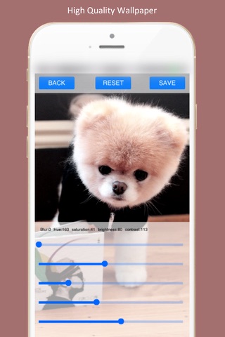 Dog Wallpapers Blur and Colorful - Choiceness High Quality Wallpaper screenshot 3