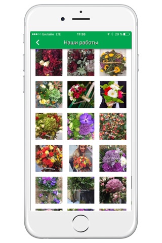 DivaFlora - доставка цветов screenshot 4