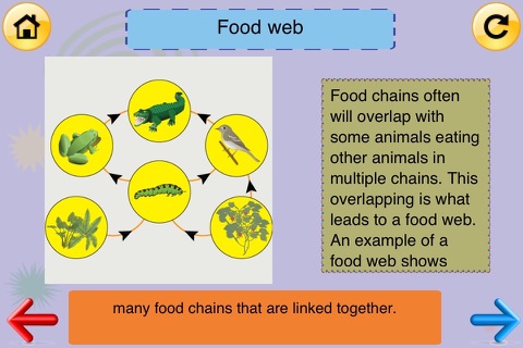 3rd Grade Science Glossary # 2: Learn and Practice Worksheets for home use and in school classrooms screenshot 2