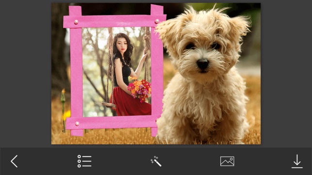 Animal Photo Frames - Creative Frames for your photo(圖4)-速報App