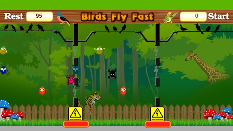 Birds Fly Fast - Free Game for Kids screenshot-3