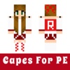 Cape Skins For Minecraft Game - Best New Skin Collection