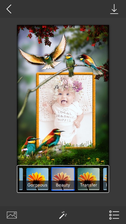 Bird Photo Frames - Make awesome photo using beautiful photo frames