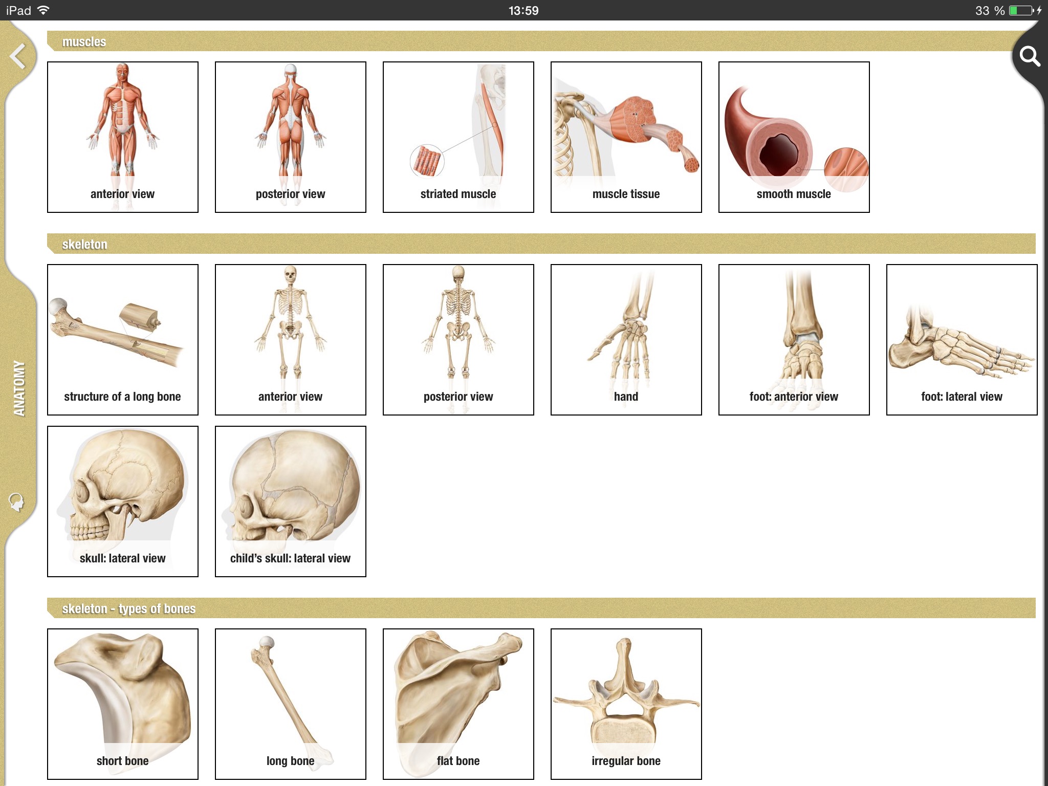 Merriam-Webster The Visual + screenshot 4