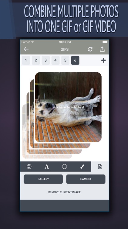 Gif Editor - Photo + Text + Emoji