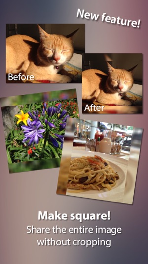 Minima Pro - Image & Video Resizer(圖4)-速報App