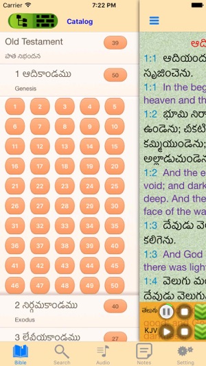 Telugu-English Indian Audio Holy Bible(圖2)-速報App