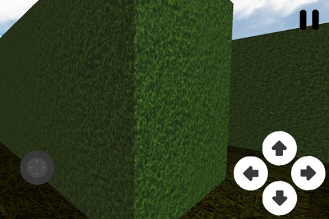 3D Maze screenshot 3