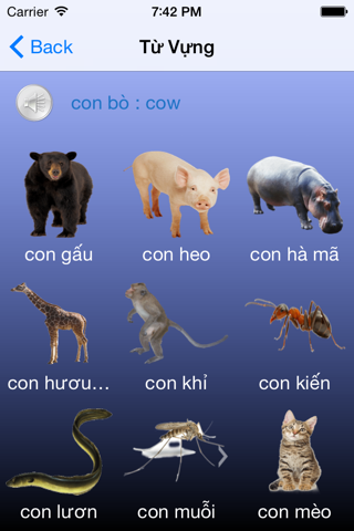 Learn Vietnamese Pronunciation screenshot 4