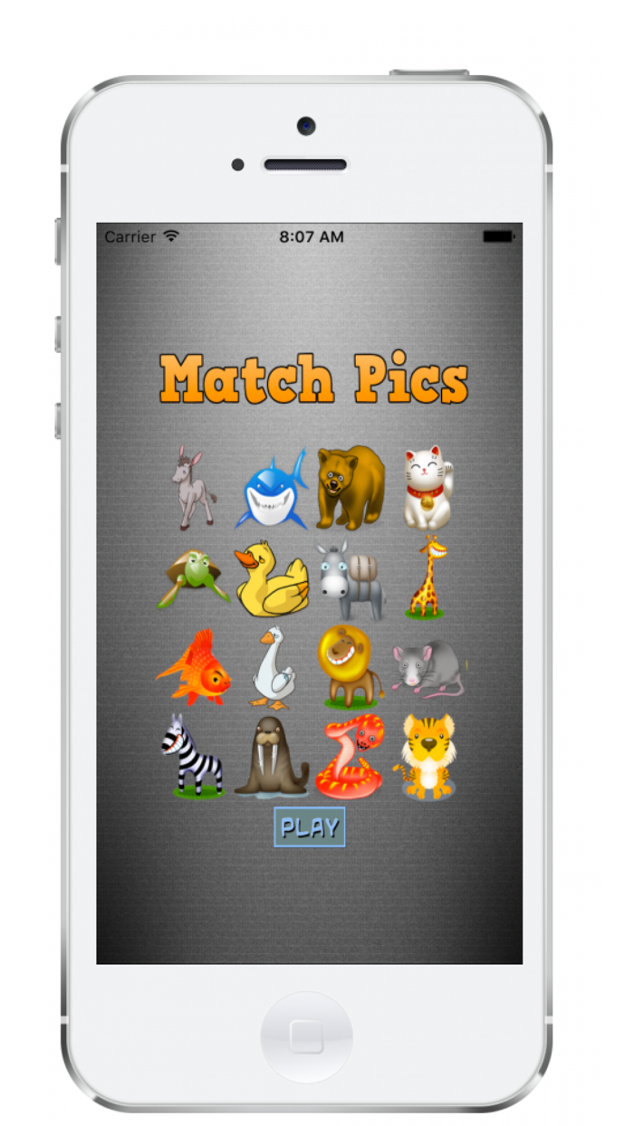 Match Animal Pics