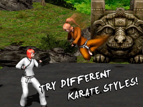 Karate Do Fighting Tiger 3D Games Fighting Tiger Earn Points