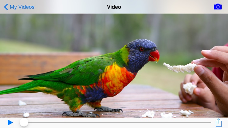 Video Camera+ screenshot-3