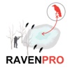 Raven Hunting Strategy Hunting Simulator for Bird Hunting - Ad Free