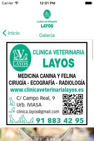 CLINICA VETERINARIA LAYOS screenshot 4