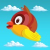 Bouncy Bird - An Impossibly Addictive Game