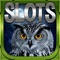 Another Slots Owl Slots FREE Slots Game